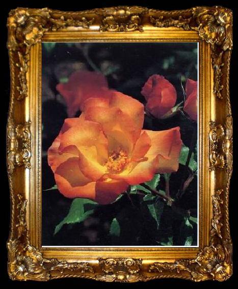 framed  unknow artist Still life floral, all kinds of reality flowers oil painting  386, ta009-2